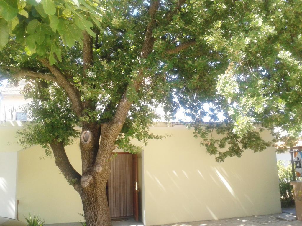 Apartments Angela Biograd Na Moru Extérieur photo